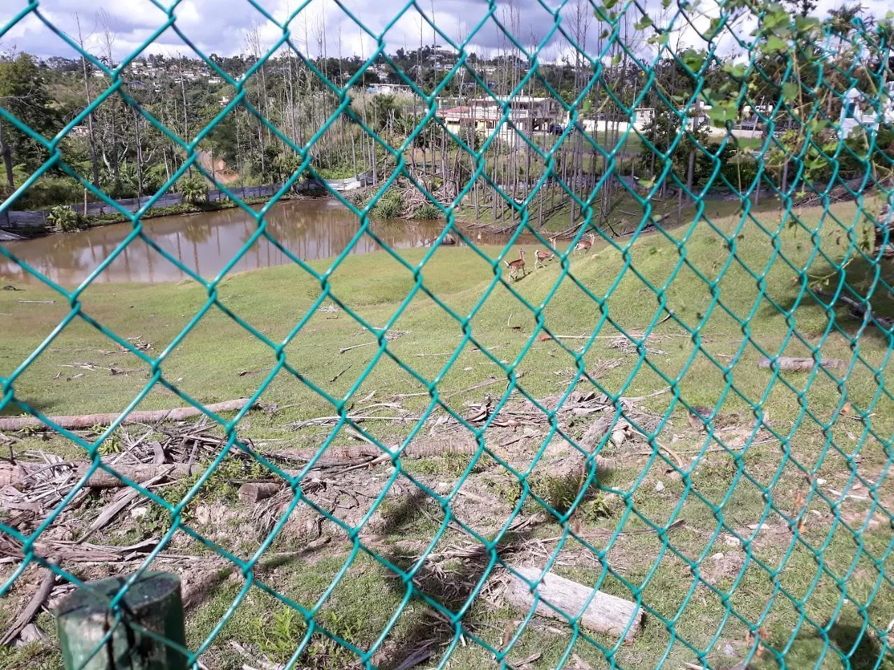 Locanda Echotel Remanso Caguas Porto Rico