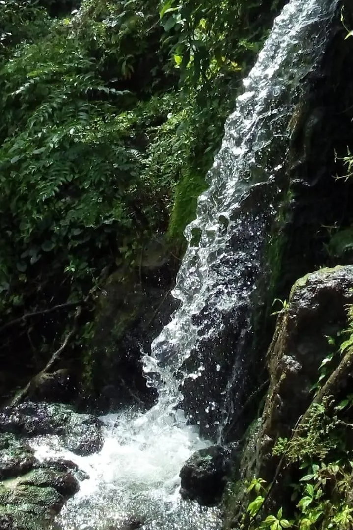 Locanda Echotel Remanso Caguas Porto Rico